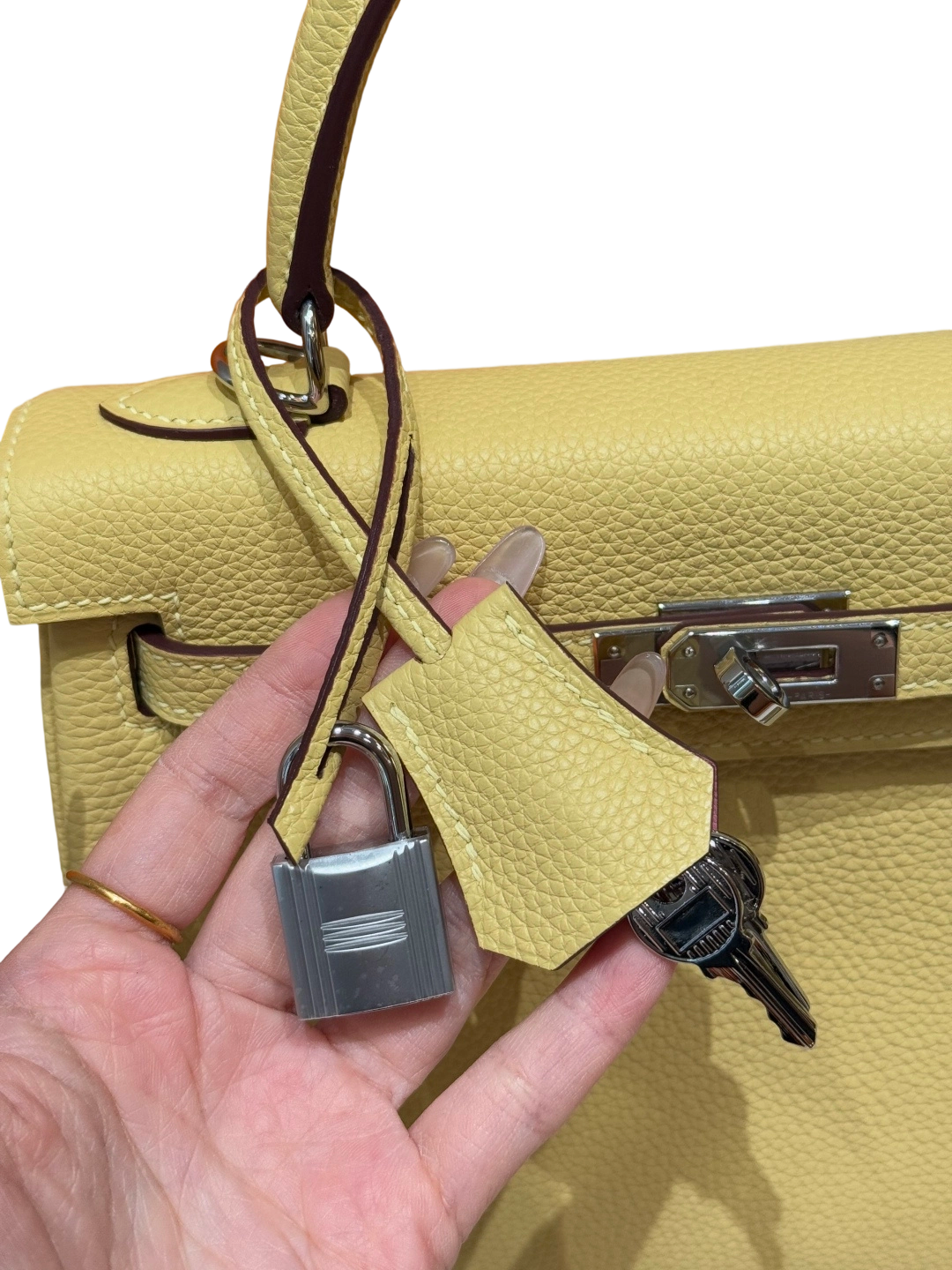 Kelly  Togo – Multicolor Combination | Palladium